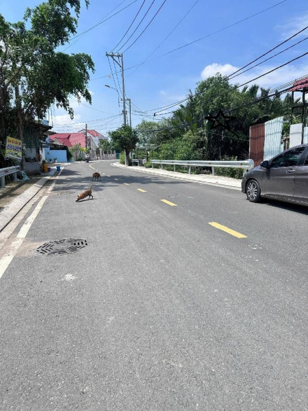 CƠ HỘI GIÁ HỜI MUA ĐẤT THỔ CƯ 1800M2 TẠI CỦ CHI SỔ HỒNG CHÍNH CHỦ   VỚI VỊ TRÍ TUYỆT ĐẸP TRÊN TỈNH