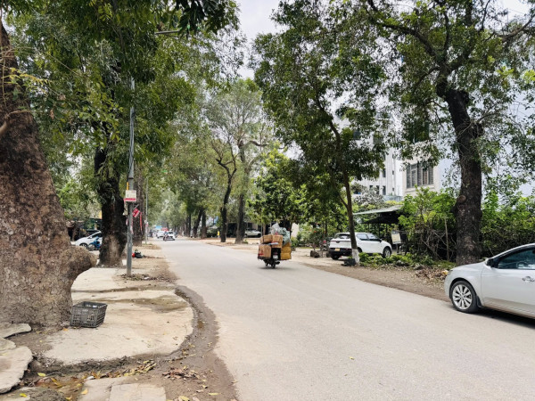 Đất trục hàng cây khu A, DT50m2, MT5.0m, ôtô KD, Yên Nghĩa 15.5 tỷ Hà Đông