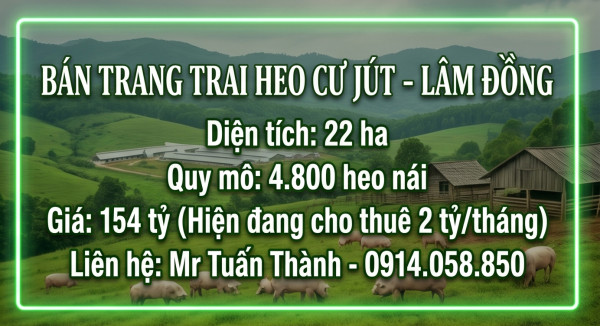Trại Heo 22ha Lãi Ngay 2 Tỷ/Tháng