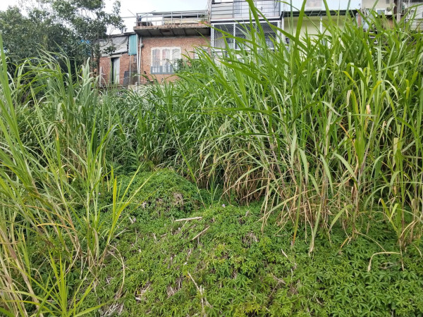 ĐẤT ĐẸP TÔ HIỆU – ĐÀ LẠT  VIEW THOÁNG – ĐƯỜNG Ô TÔ TẬN NƠI