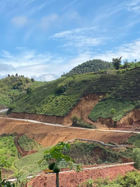 🌿 HÀNG HIẾM MỘC CHÂU – QUỸ ĐẤT DIỆN TÍCH LỚN, ĐƯỜNG LIÊN XÃ