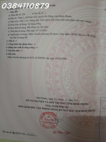 BÁN 9 HÉC CAO SU & ĐIỀU – THỰC TẾ GẦN 10 HÉC – BÙ ĐĂNG, BP, 5,8 TỶ