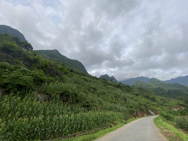 🔥 BÁN ĐẤT VIEW ĐẸP - CÁN TỶ, QUẢN BẠ, HÀ GIANG 🔥