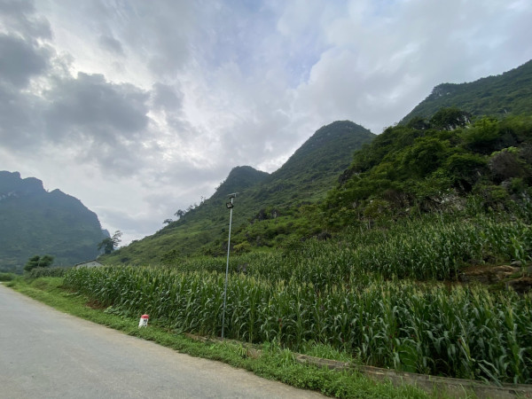 🔥 BÁN ĐẤT VIEW ĐẸP - CÁN TỶ, QUẢN BẠ, HÀ GIANG 🔥