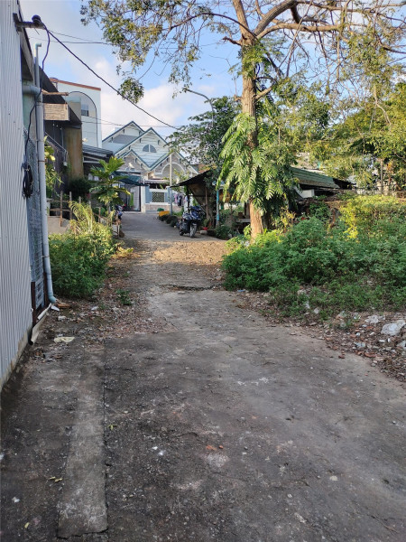🌟 TÔN ĐẢN – 100M² ĐẤT KIỆT Ô TÔ THẲNG - CHỈ 2,95 TỶ 🌟